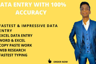 do accurate extra fast typing job of 100 pages within 24 hours, your pro typist