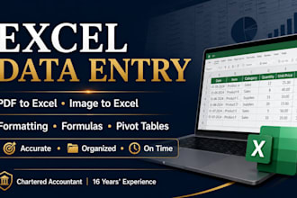 excel data entry fast and accurate