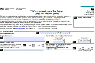 prepare corporation tax filing for small canadian business