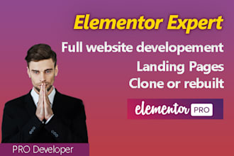 be elementor developer and expert wordpress customizer