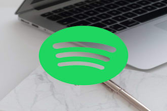 promote your tracks organically on spotify
