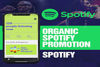 do targeted spotify music track promotion