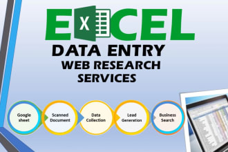 do data entry and formatting in excel or google sheets