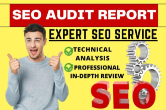 provide you advance seo audit report