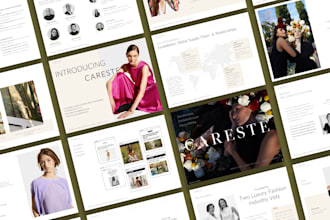 design a professional presentation with infographics