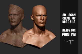clean your professional 3d scan model