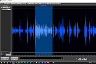 edit your audio to remove unwanted noises like breaths and mouth noises