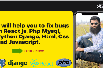 fix bugs in react, html, css, javascript, php, python django