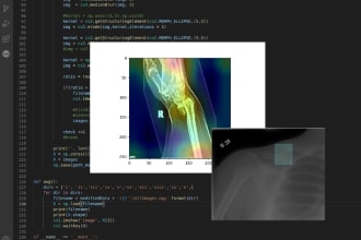 do python scripts, automation tasks, and gui projects