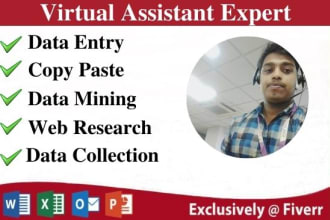 do data entry, copy paste, web research, excel data entry as a virtual assistant