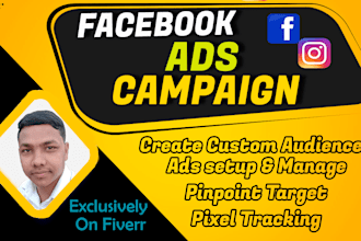 be your facebook ads campaign manager and do fb advertising