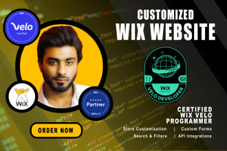 develop wix website using wix velo, wix code and databases