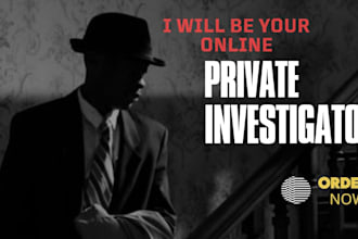 conduct an online private investigation for you