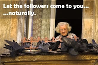get you more than 1000 real followers to your Twitter account