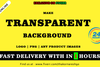 make white or transparent logo,png,image,photo fast delivery