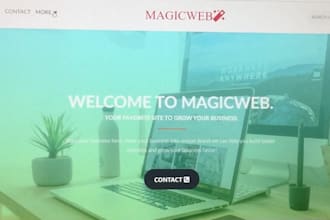 provide best service for your website development