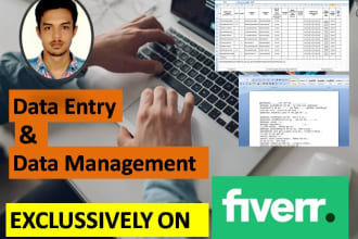 do data entry and data management