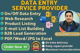 do fast data entry, web research, copy paste job, b2b lead, excel data entry