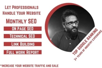 deliver complete monthly SEO service for top google ranking