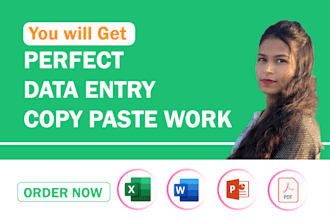 do perfect data entry and copy paste job