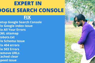 fix the google index problem and search console issue