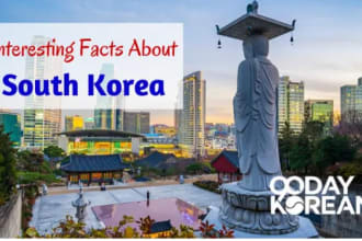 answer your questions in south korea in 12 hours