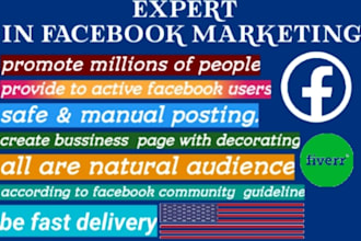 promote your business  by millions of  facebook user in USA