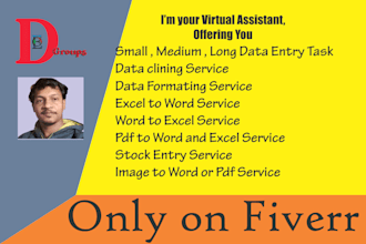 do data entry fast and accuratei, will merge, split, clean up CSV