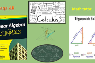 assist you with mathematics, algebra, calculus, statistics