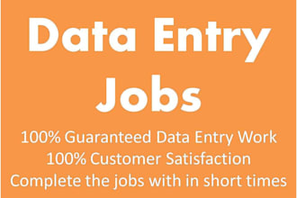data entry with perfection
