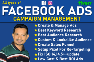 be your productive facebook ads campaign manager to run fb ads campaign