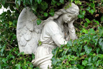 edit and provide feedback on a eulogy