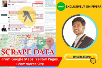 scrape google maps, yellow pages, business data in 24 hours