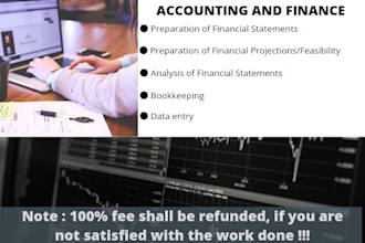 prepare financial statements and feasibility