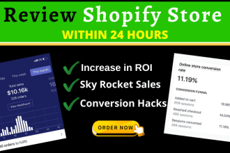 review your shopify store shopify website to boost sales in 24 hours