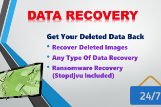 recover lost, deleted, formatted data, files, images, everything