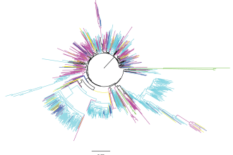 perform bioinformatic and genetics analysis
