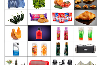 bulk photo background removal by clipping path fast delivery