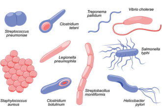 offer quality work in microbiology