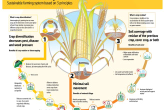 offer perfect agriculture and environmental task