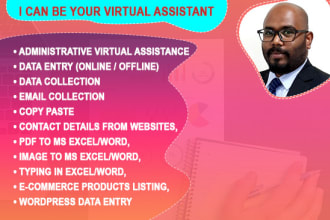 be virtual assistant for data entry,copy paste,email collection