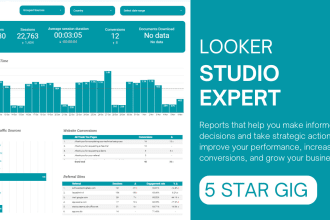 create professional looker studio dashboard