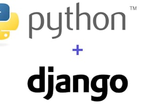 develop custom django flask python rest API website,desktop app and deploy