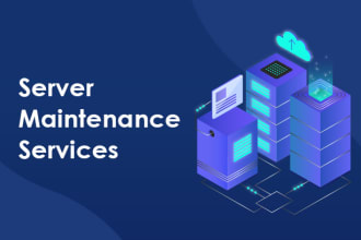 do server maintenance and server protection