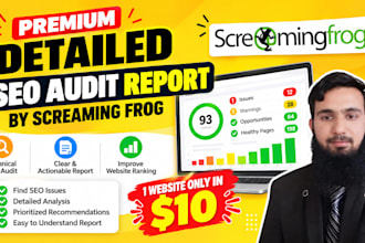 do web analysis analytics screaming frog site audit competitive analysis