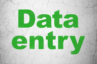 do proffessional data entry, copy paste, typing  jobs and PDF to word excel