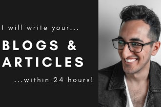 write SEO articles and blog posts within 24 hours