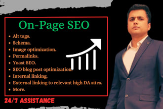 provide on page SEO to rank your website