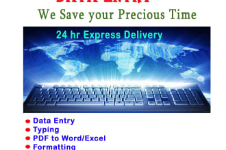 do professional data entry,typing, file conversion