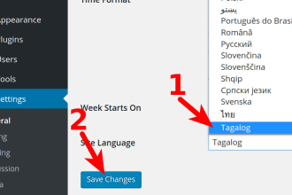 assist in wordpress changes, edits or redesign site